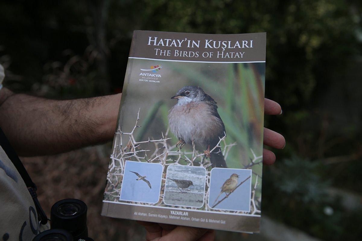 Hatay'da kuş gözlemcisi doktor, 4 yeni türü ilk kez fotoğrafladı