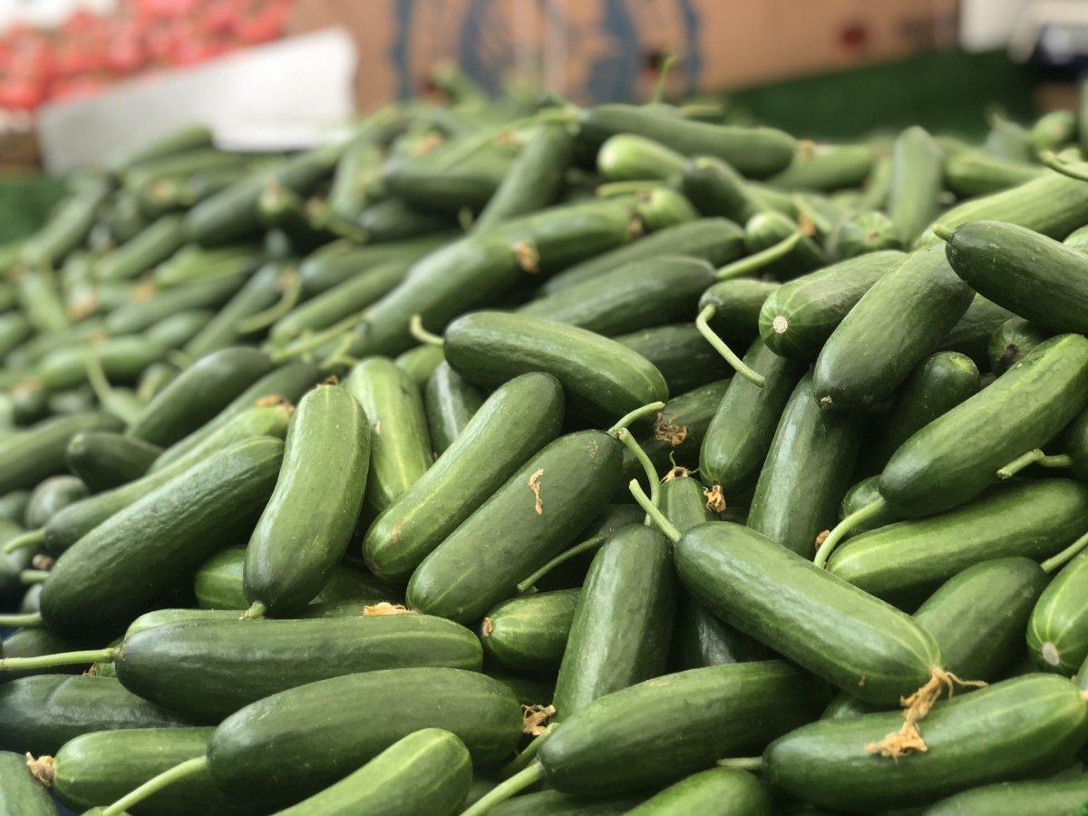 semt pazarları yağmurdan şikayetçi