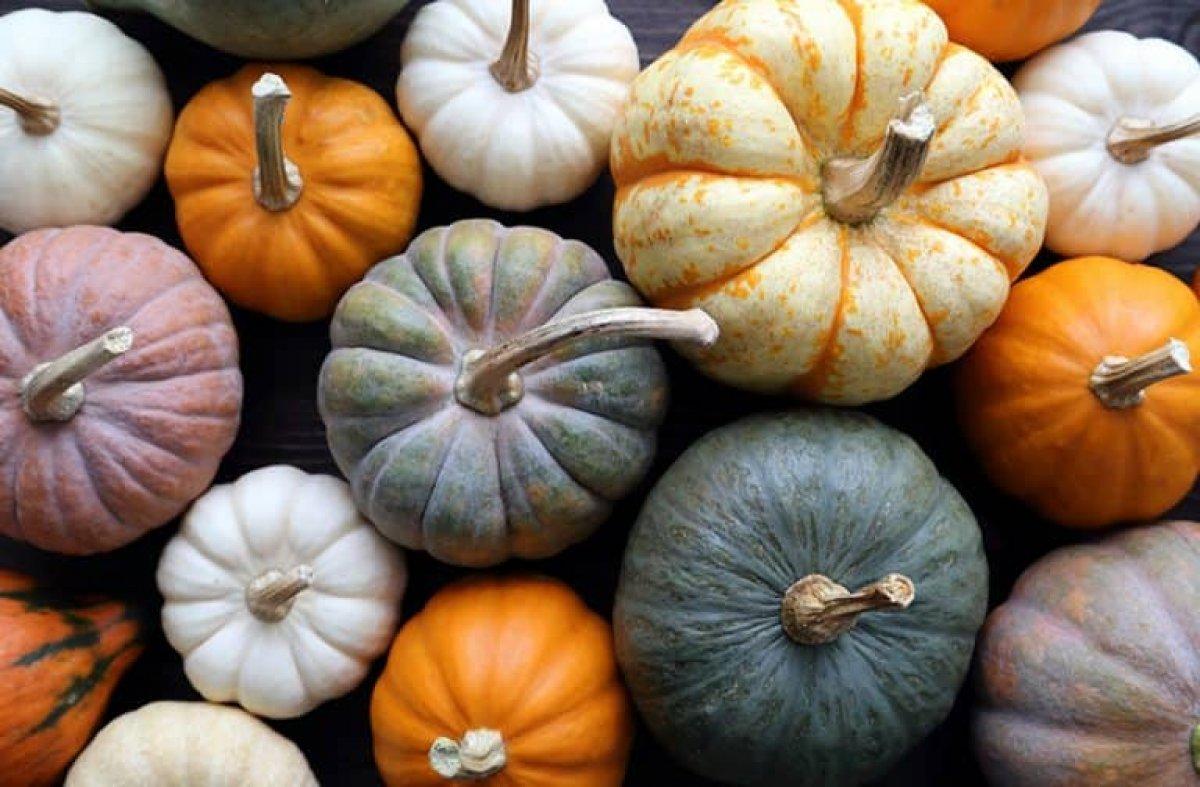 Sonbaharın gözdesi: Bal kabağının bilinmeyen 6 faydası