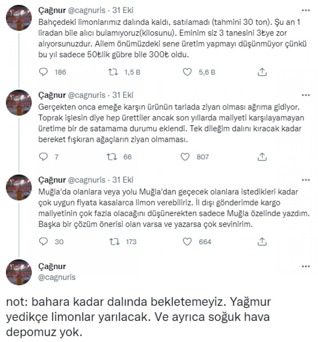 Muğlalı çiftçinin limonları elinde kaldı