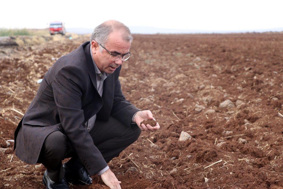 Kuraklıktan etkilenen çiftçi, gübre zammından etkilenmeyecek