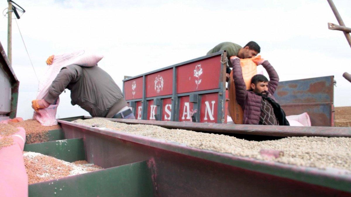 Kuraklıktan etkilenen çiftçi, gübre zammından etkilenmeyecek