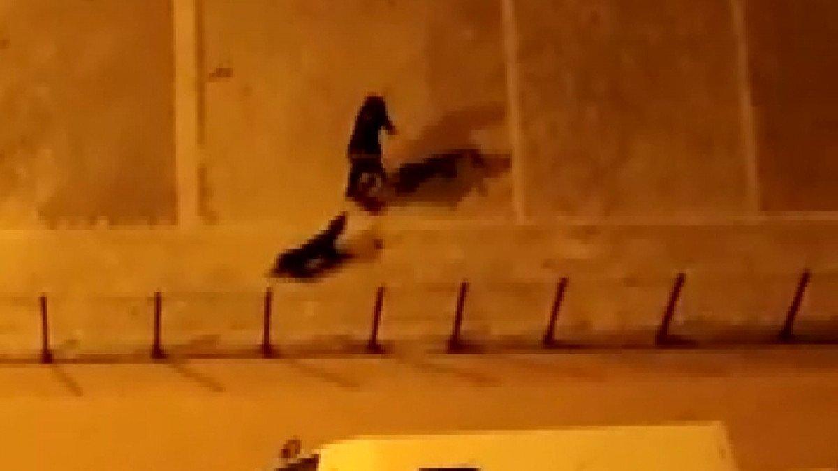 Esenyurt'ta köpeği döven Ürdünlüye ceza