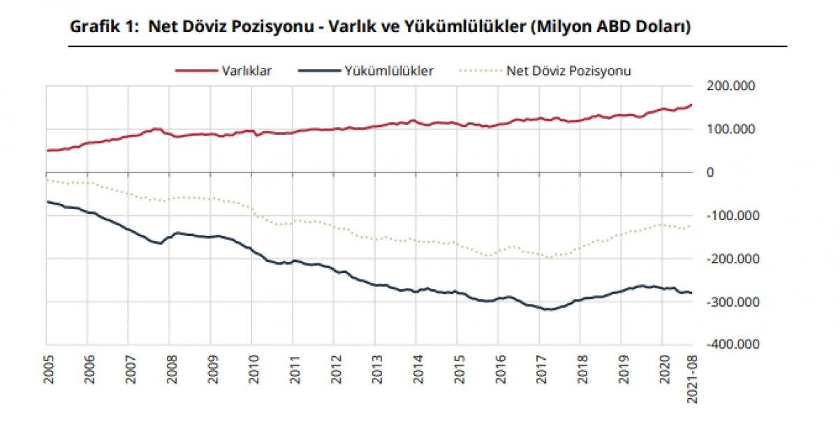 TCMB döviz varlığı
