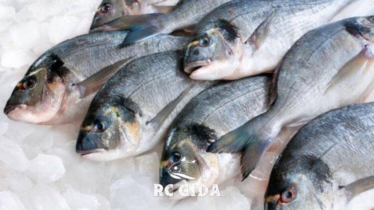 Kolajen deposu olan 10 zengin gıda