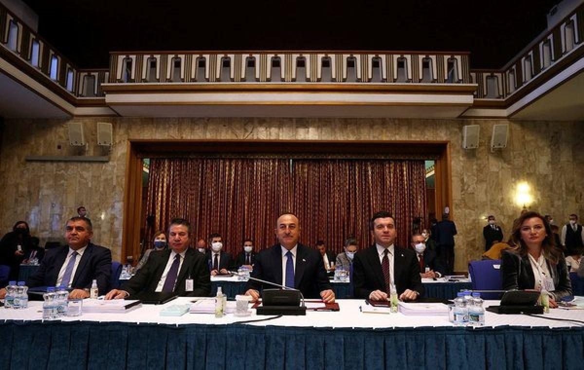 Mevlüt Çavuşoğlu'ndan Doğu Akdeniz açıklaması