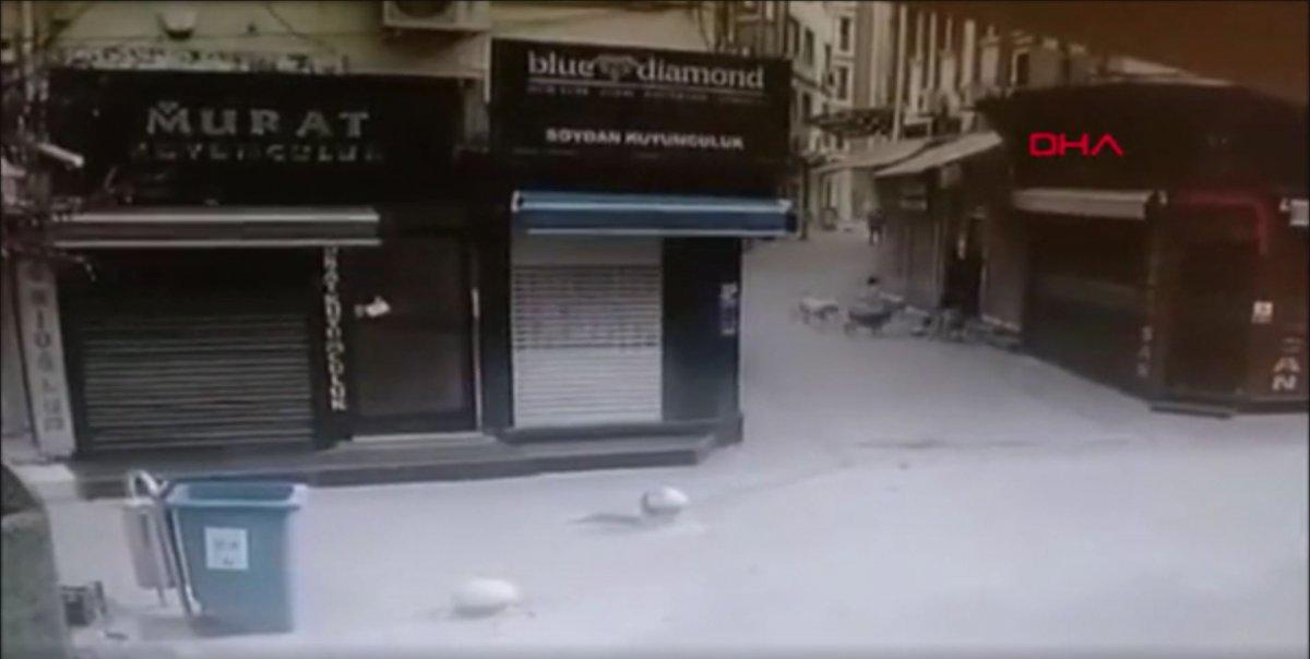 Balıkesir’de, sokak hayvanlarına işkence eden şahıs durdurulamıyor