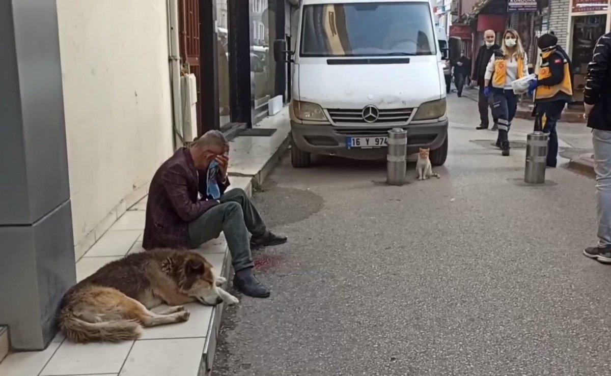 Bursa'daki köpek, yaralı sahibini bir saniye bile yalnız bırakmadı