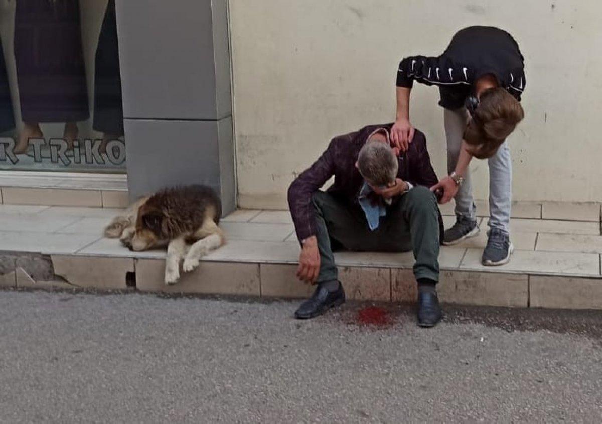 Bursa'daki köpek, yaralı sahibini bir saniye bile yalnız bırakmadı