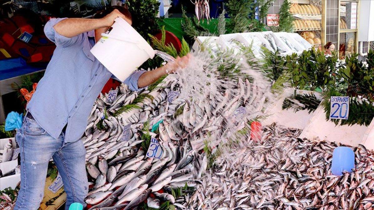 Marmara'daki küçük ölçekli balıkçılara verilecek destek miktarı artırıldı