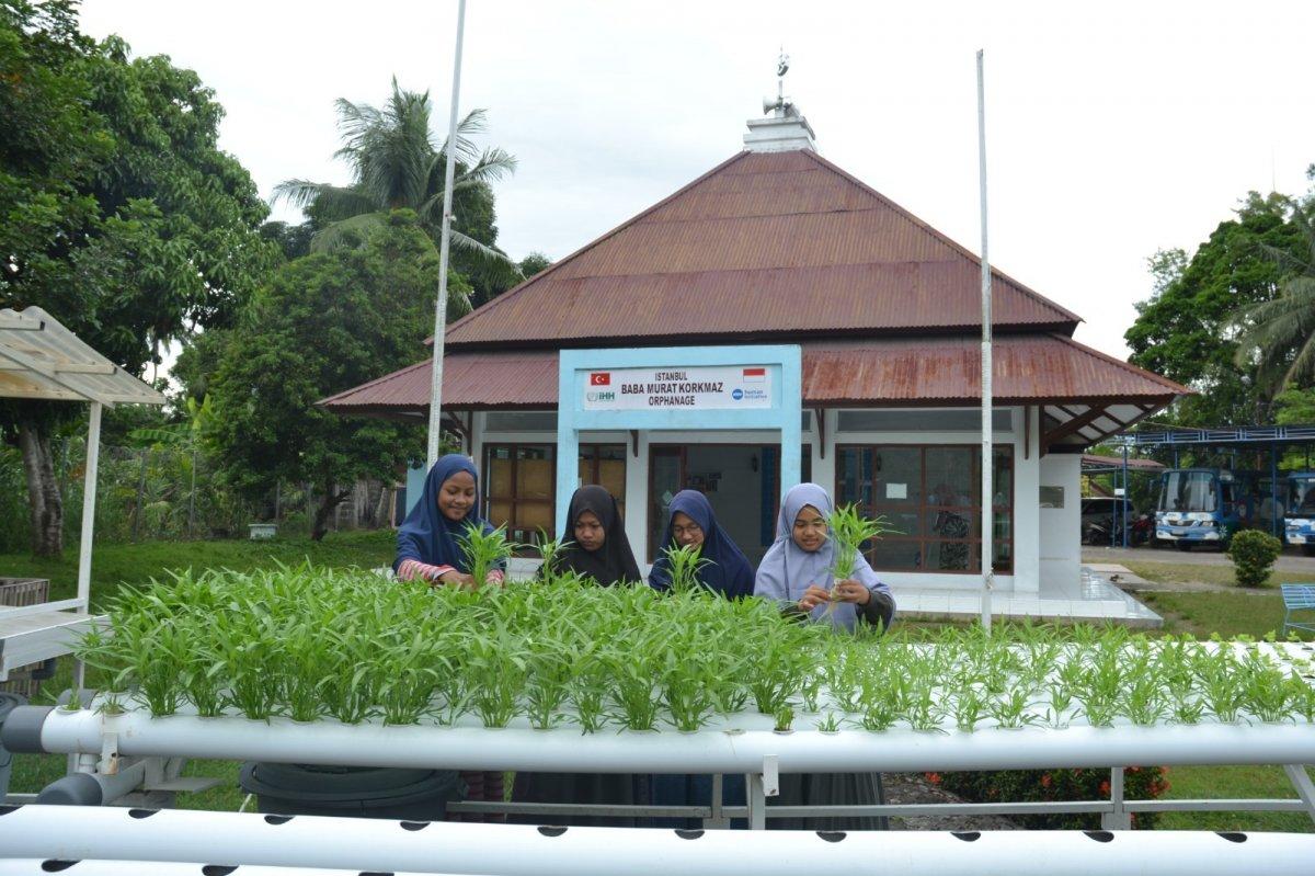 İHH, Endonezya'daki yetimlere topraksız tarım eğitimi veriyor