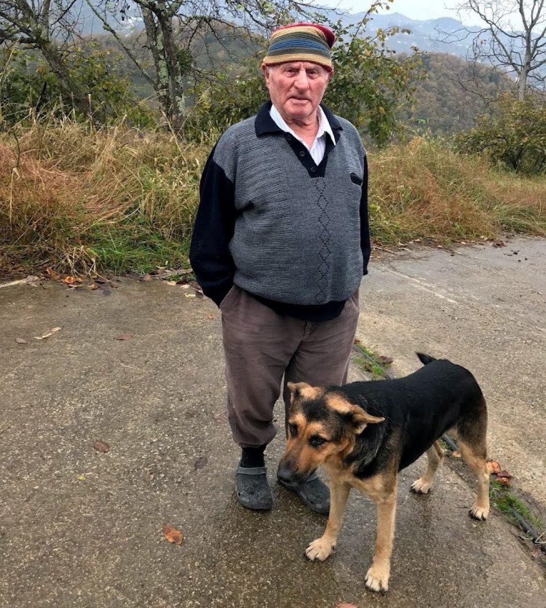 Trabzon'da ölen sahibinin mezarından ayrılmayan köpek