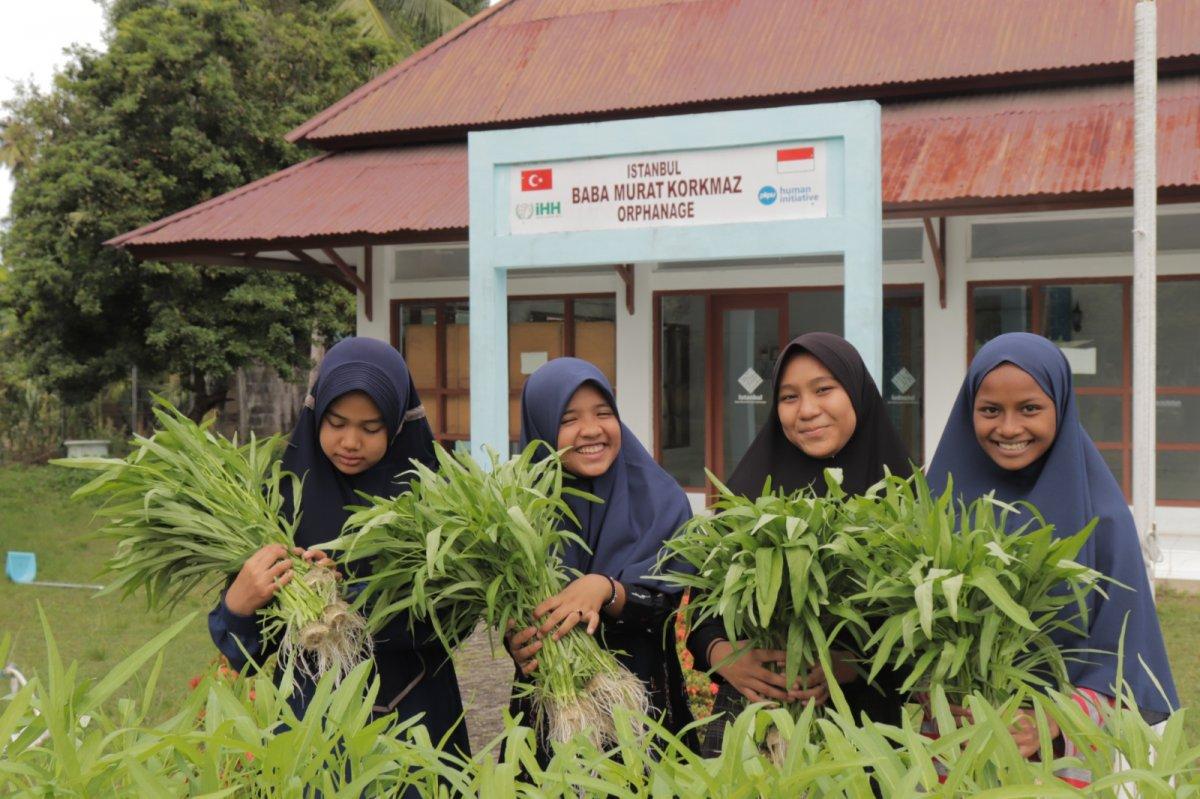 İHH, Endonezya'daki yetimlere topraksız tarım eğitimi veriyor