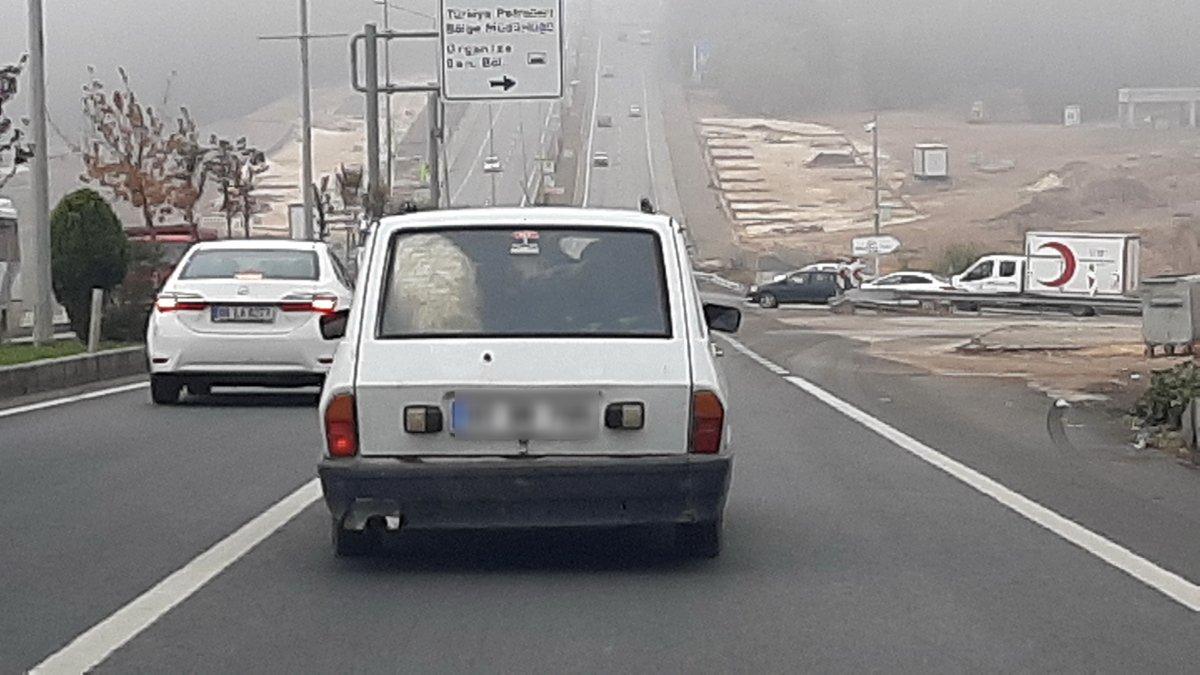 Adıyaman'da otomobil bagajına 3 keçi 1 koyun sığdırıldı