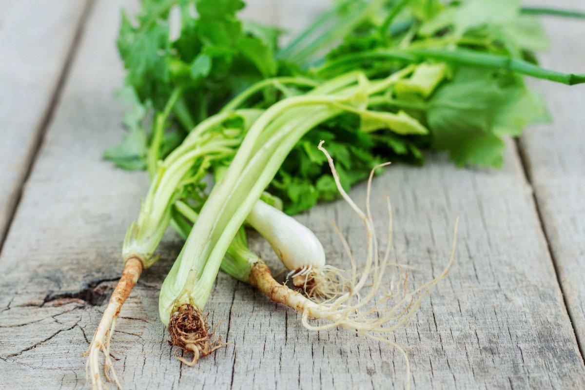 Böbreklerinize iyi gelecek 9 idrar söktürücü gıda