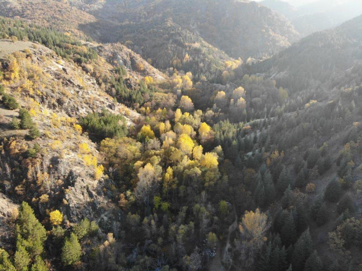 Afyonkarahisar Erkmen Tabiat Parkı’nda sonbahar güzelliği