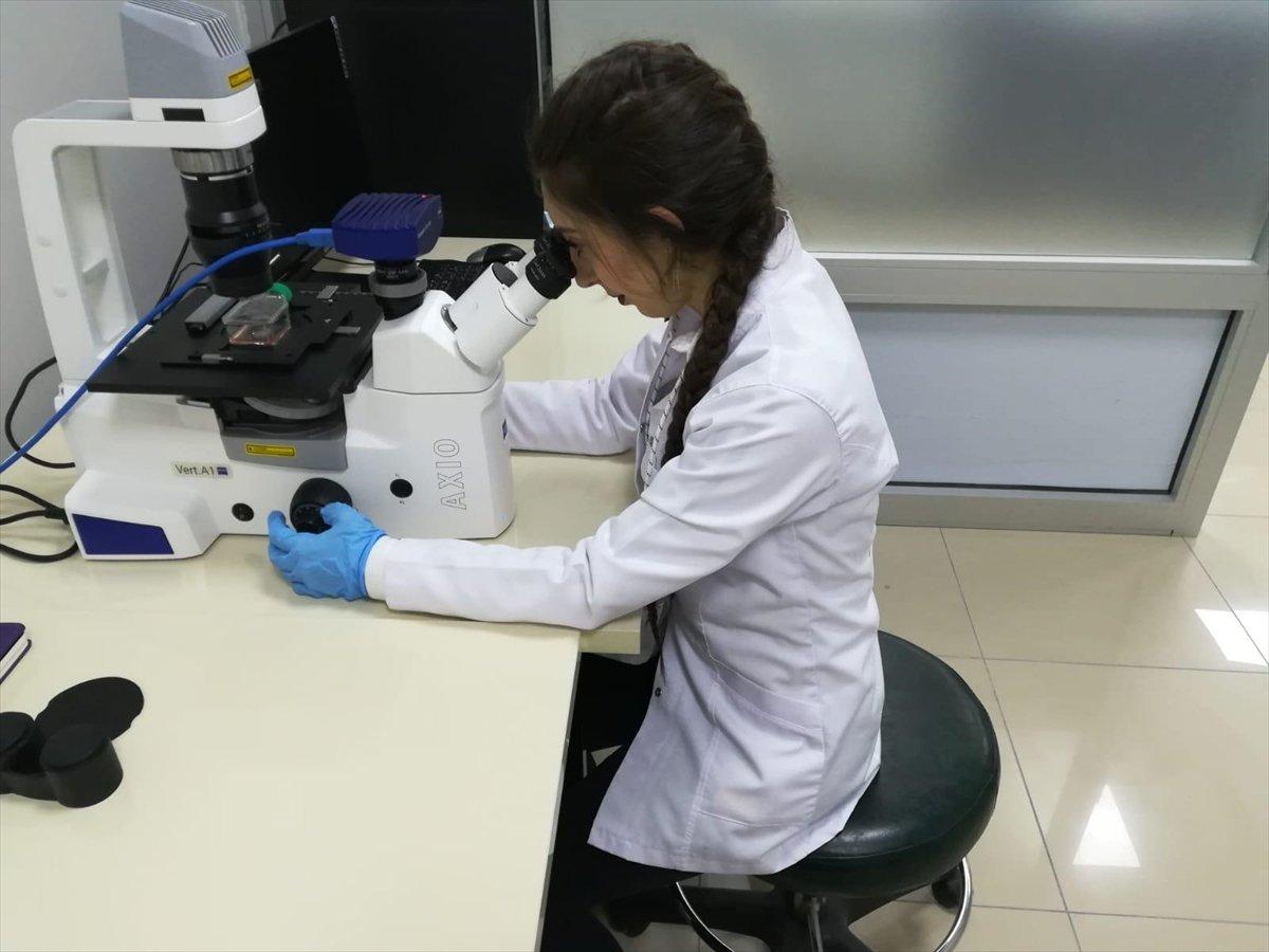 Siyah kuşburnu meme kanserini önlüyor