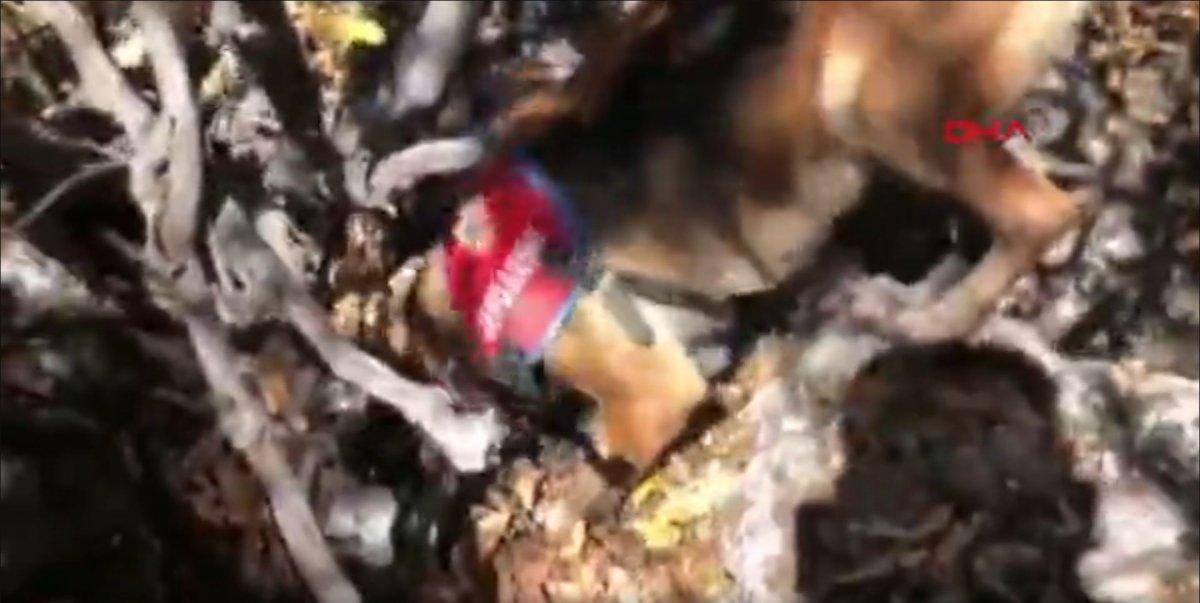 Adıyaman’da, PKK’ya ait yaşam malzemeleri bulundu