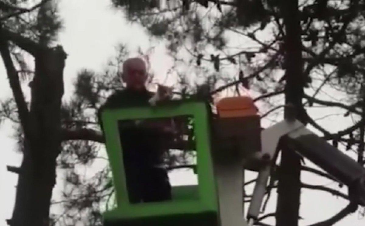 Ağaçta mahsur kalan kediyi Çekmeköy Belediye Başkanı Ahmet Poyraz kurtardı