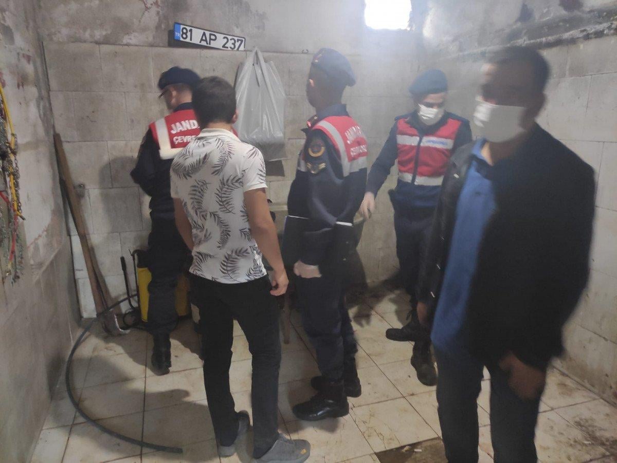 Düzce'de 20 atı kesen baba ile oğluna ceza