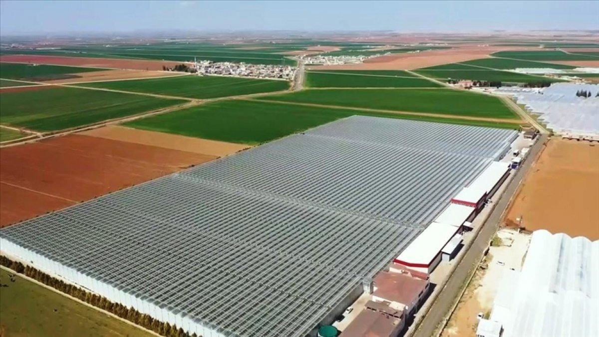 Güneydoğu'yu kalkındıran GAP'ın 32. yılı