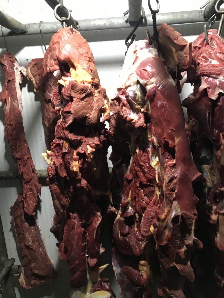 Düzce'de 20 atı kesen baba ile oğluna ceza