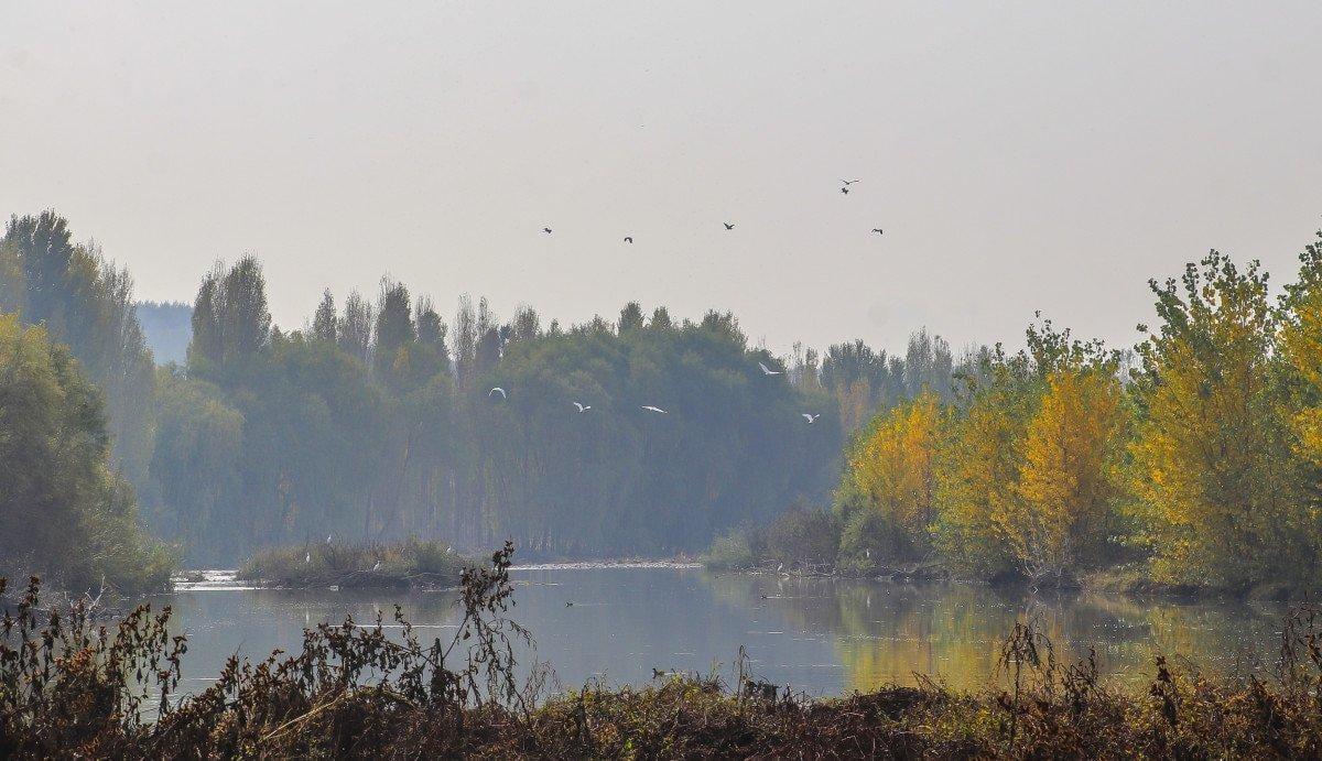 Diyarbakır Hevsel Bahçeleri'nde görsel şölen: Farklı türden kelebeklere ev sahipliği yapıyor