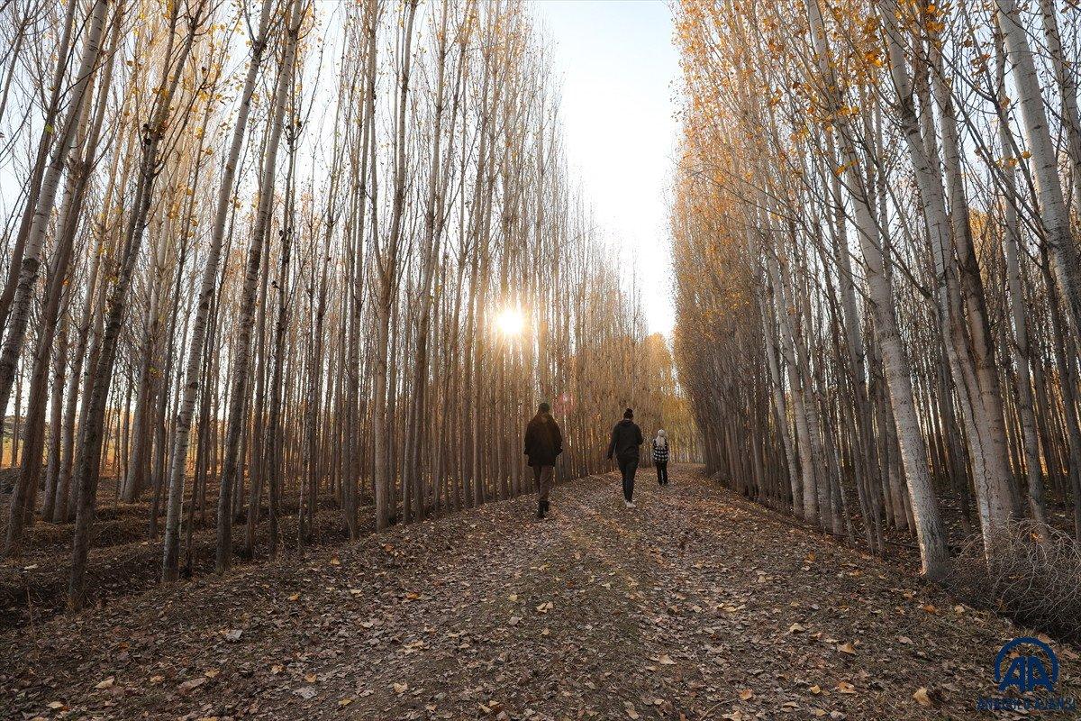 Ağrı Dağı eteklerindeki İrem Bağları'nda sonbahar güzelliği