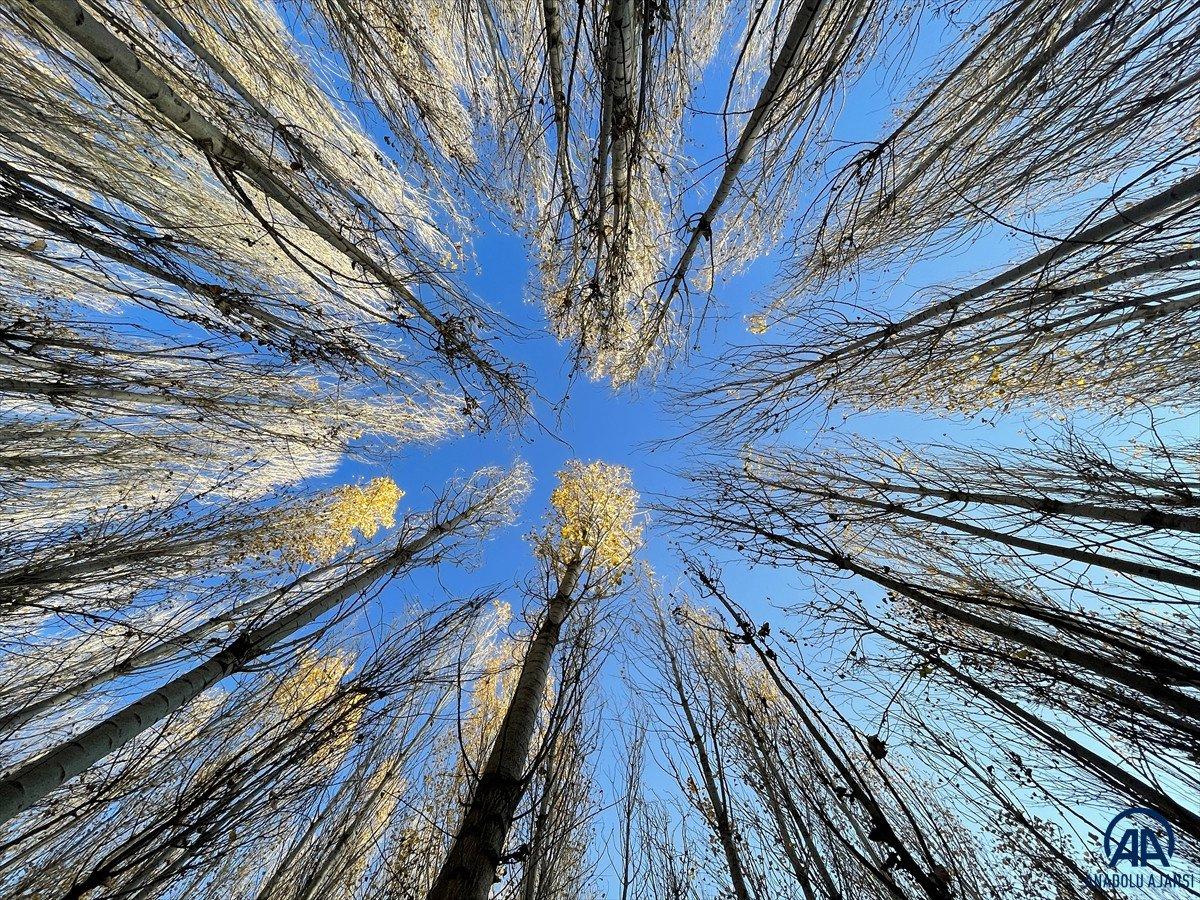 Ağrı Dağı eteklerindeki İrem Bağları'nda sonbahar güzelliği