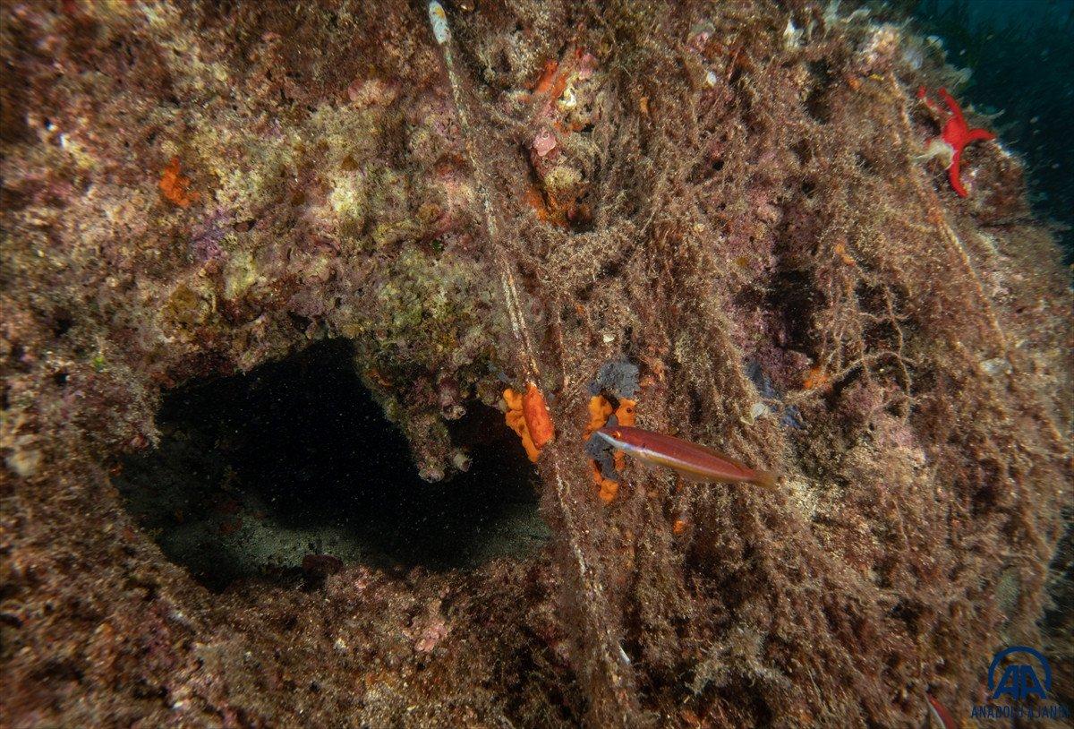 Hayalet ağlar denizleri tehdit ediyor