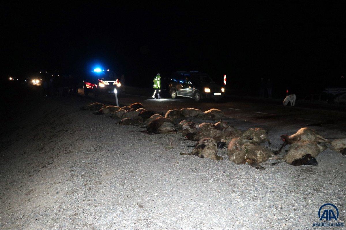 Kars'ta kamyonetin çarptığı 34 koyun telef oldu