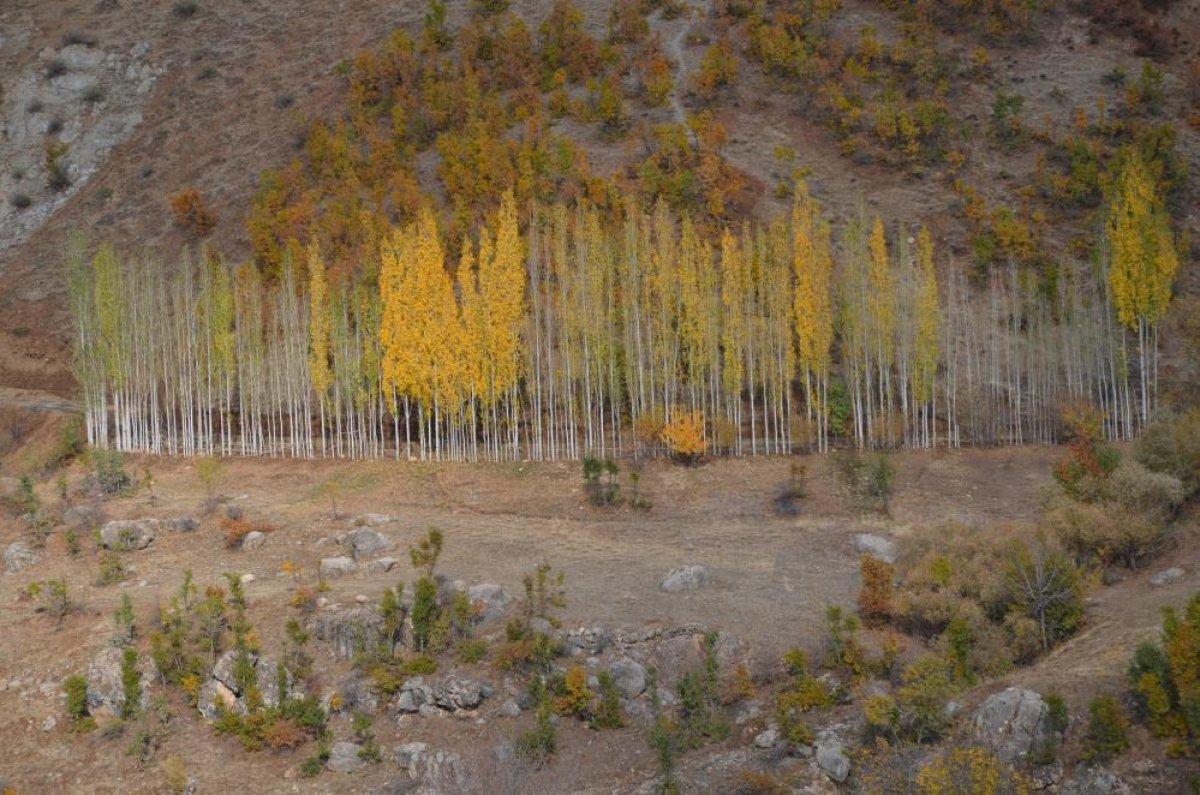 Kato Dağı terörden temizlendi: Fotoğrafçıların uğrak yeri oldu