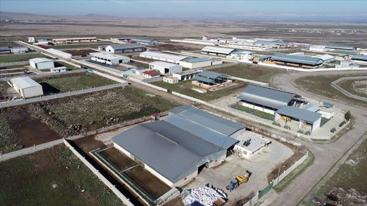 Güneydoğu'yu kalkındıran GAP'ın 32. yılı