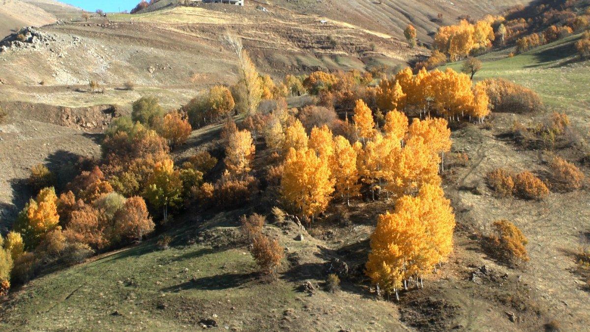 Muş'ta sonbahar, kartpostallık görüntüler oluşturdu
