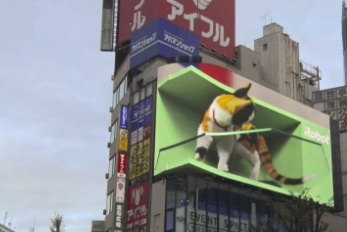 Japonya'da dev ekranda 3 boyutlu kedi oynatıldı