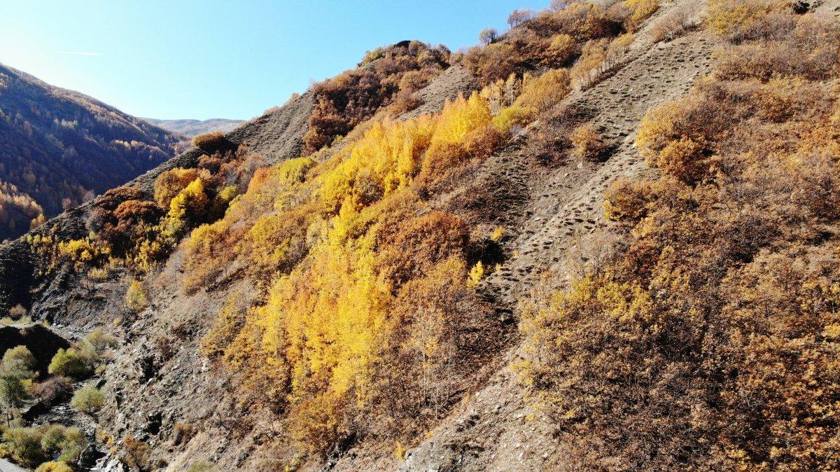 Muş'ta sonbahar, kartpostallık görüntüler oluşturdu