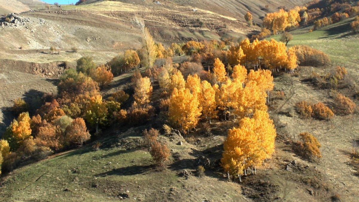 Muş'ta sonbahar, kartpostallık görüntüler oluşturdu