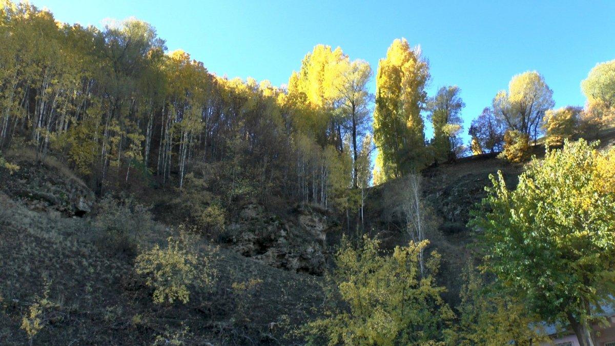 Muş'ta sonbahar, kartpostallık görüntüler oluşturdu