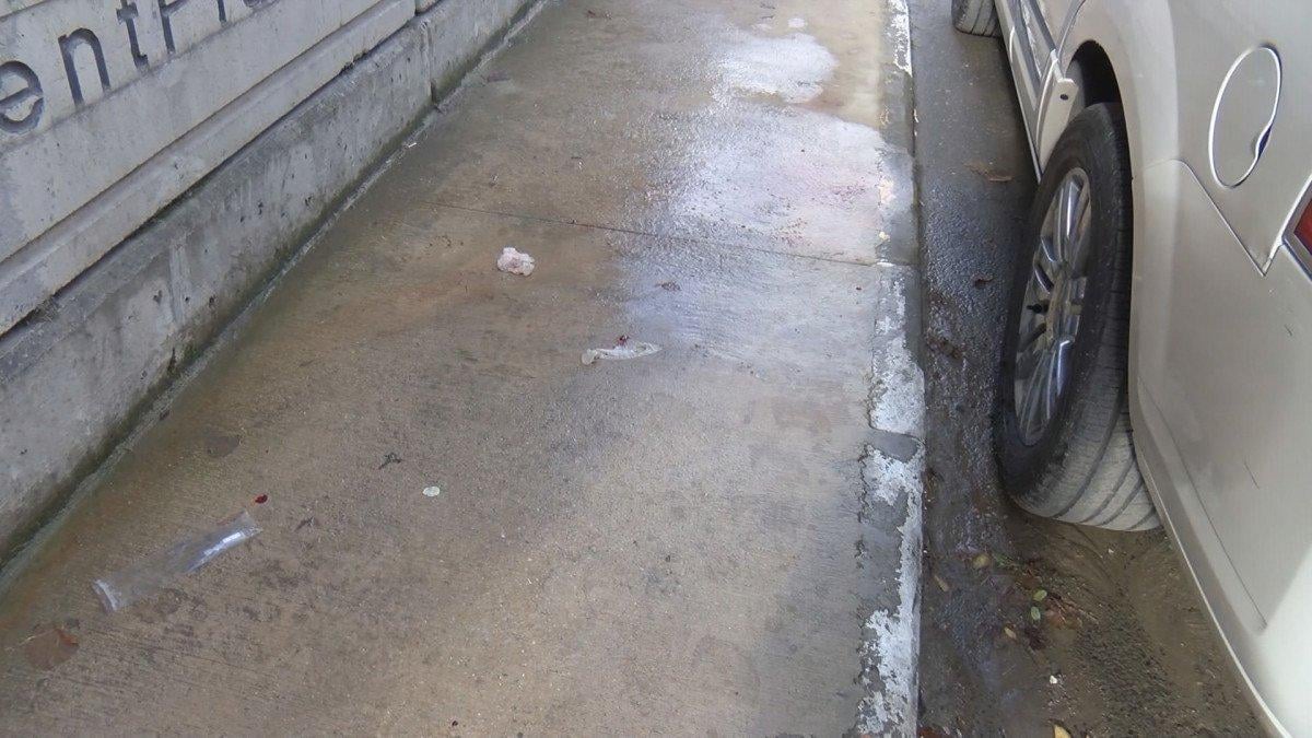 Ataşehir'de samuray kılıçla cinayet: Genç kadın 1 aylığına gelmişti