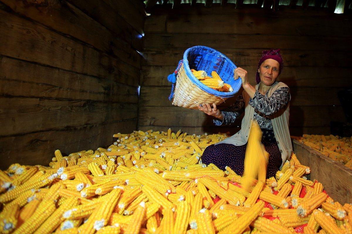 Karadenizli kadınların kış hazırlığı