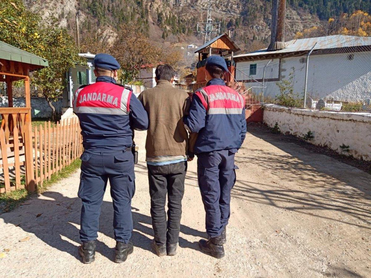 Artvin'de 49 düzensiz göçmen yakalandı