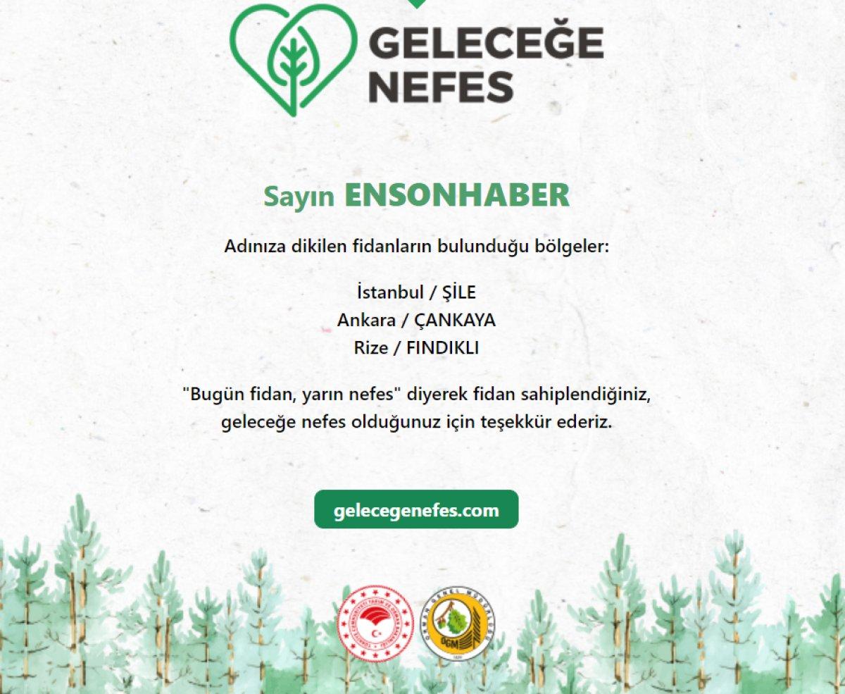 11 Kasım Milli Ağaçlandırma Günü: Ücretsiz 3 fidan bağışı nasıl yapılır?