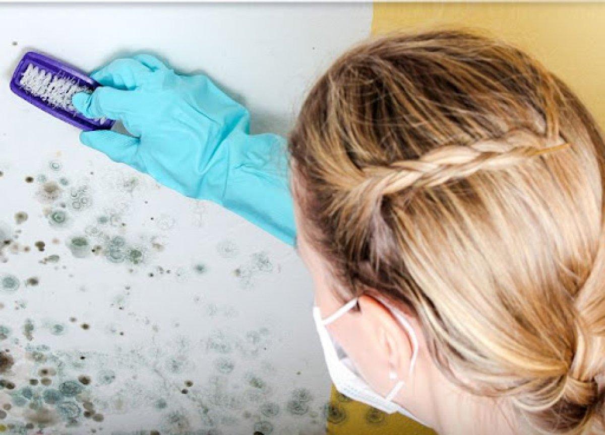 Evdeki rutubeti yok edecek çözümler: Kedi kumu, hardal, kahve...