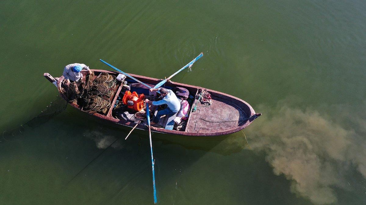 Yılan balığının Meksika'dan Türkiye'ye yolculuğu