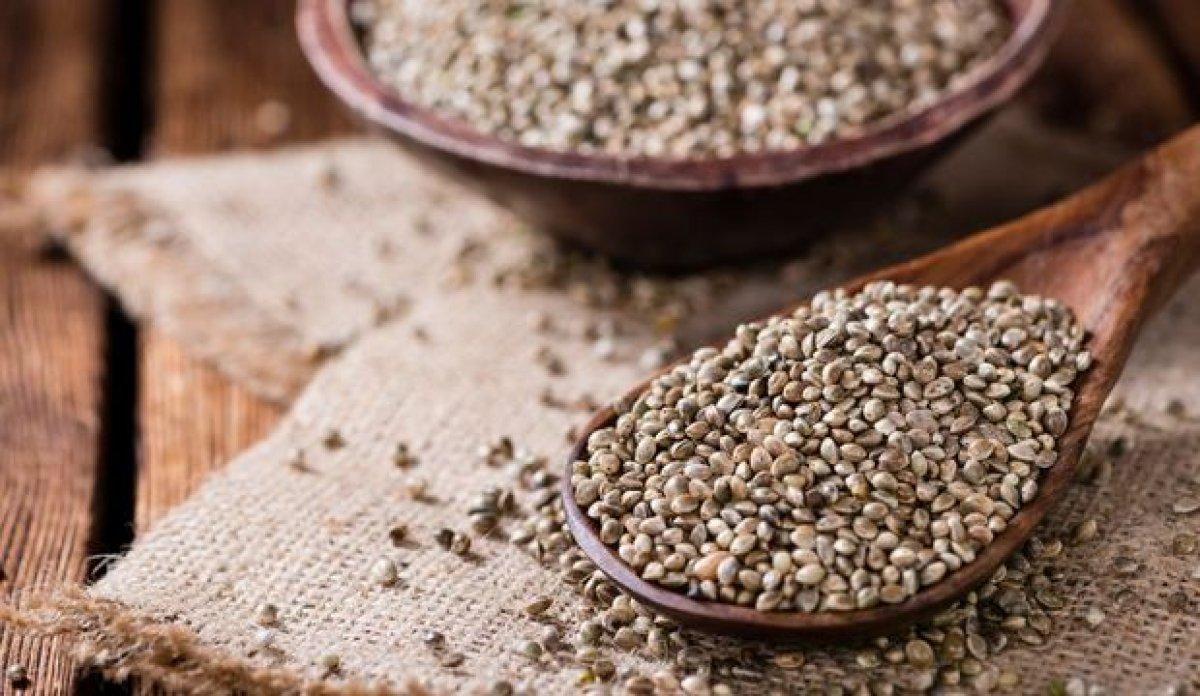 Yumurta dışında protein deposu 22 besin