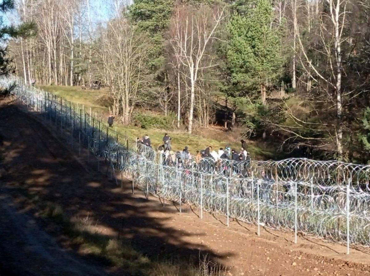 Belarus - Polonya sınırındaki göçmen sayısında artış yaşanıyor