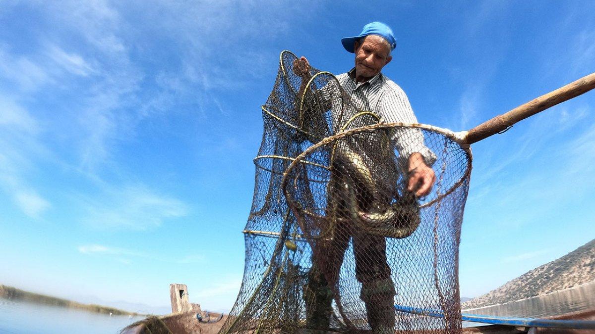 Yılan balığının Meksika'dan Türkiye'ye yolculuğu