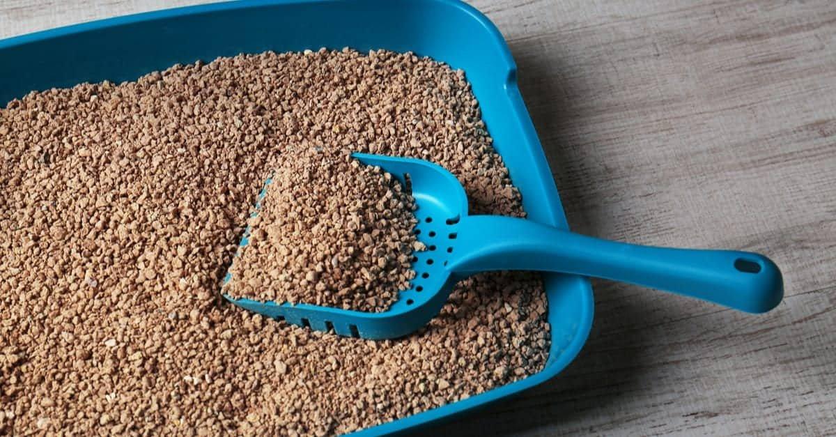 Evdeki rutubeti yok edecek çözümler: Kedi kumu, hardal, kahve...