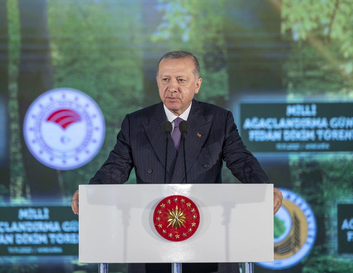 Cumhurbaşkanı Erdoğan, Fidan Dikim Töreni'nde konuştu