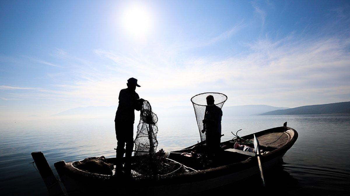 Yılan balığının Meksika'dan Türkiye'ye yolculuğu